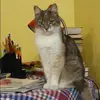 Отзыв от Вероника Кочеткова